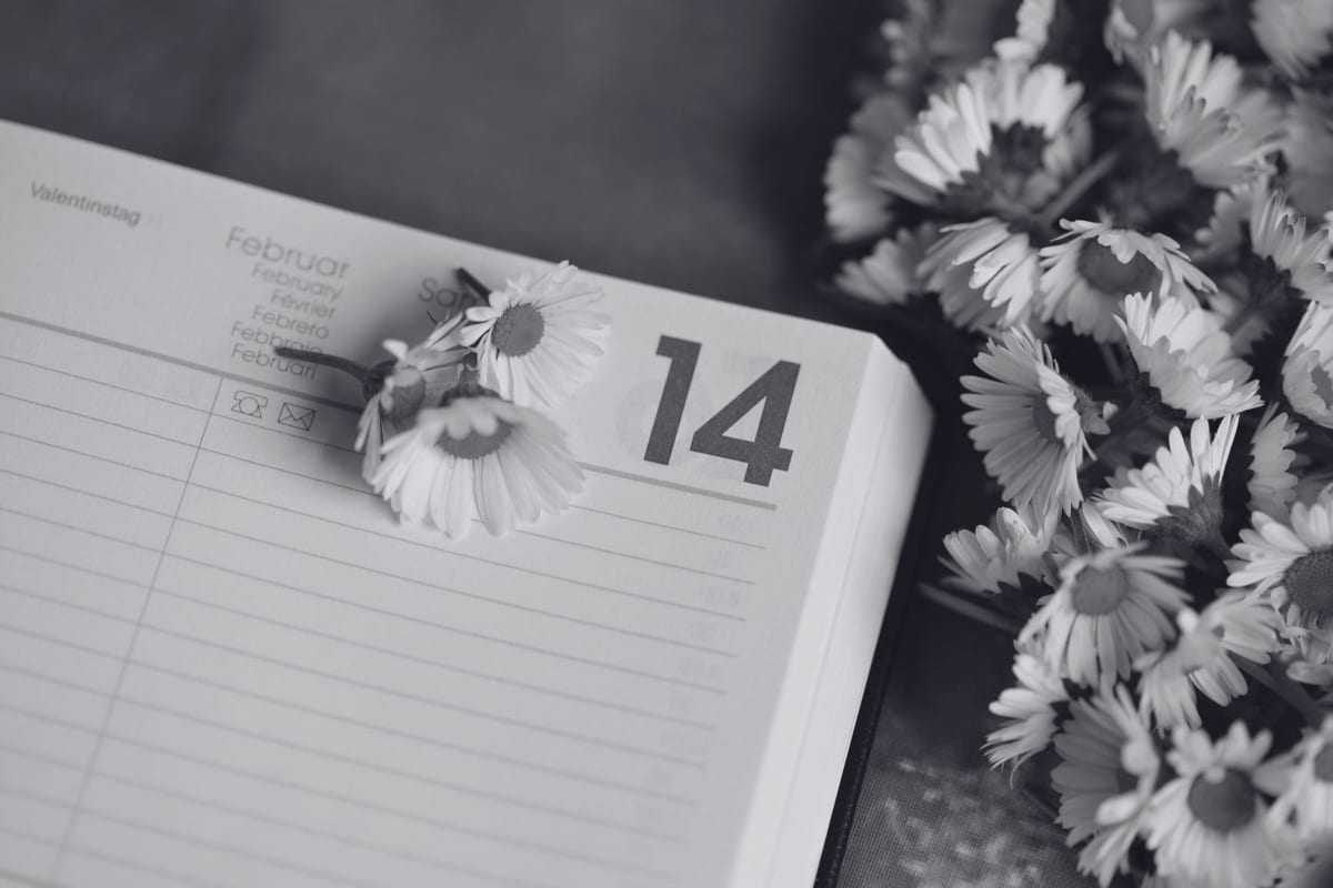 Gedeckter Tisch mit frischen Gerichten und Wochenplan-Stimmung